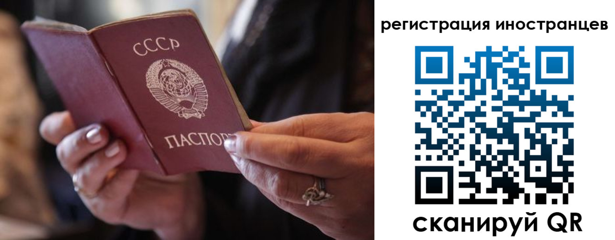 где прописаться в Россоши